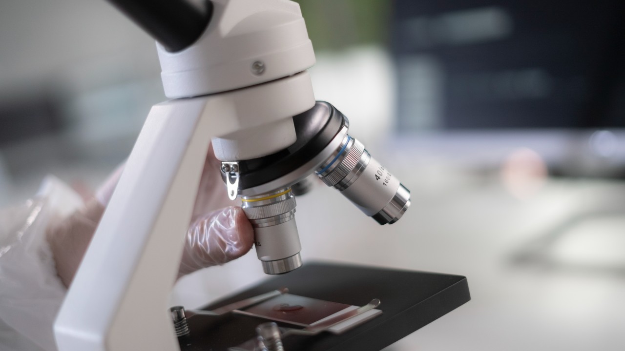 Integrity in every insurance investigation