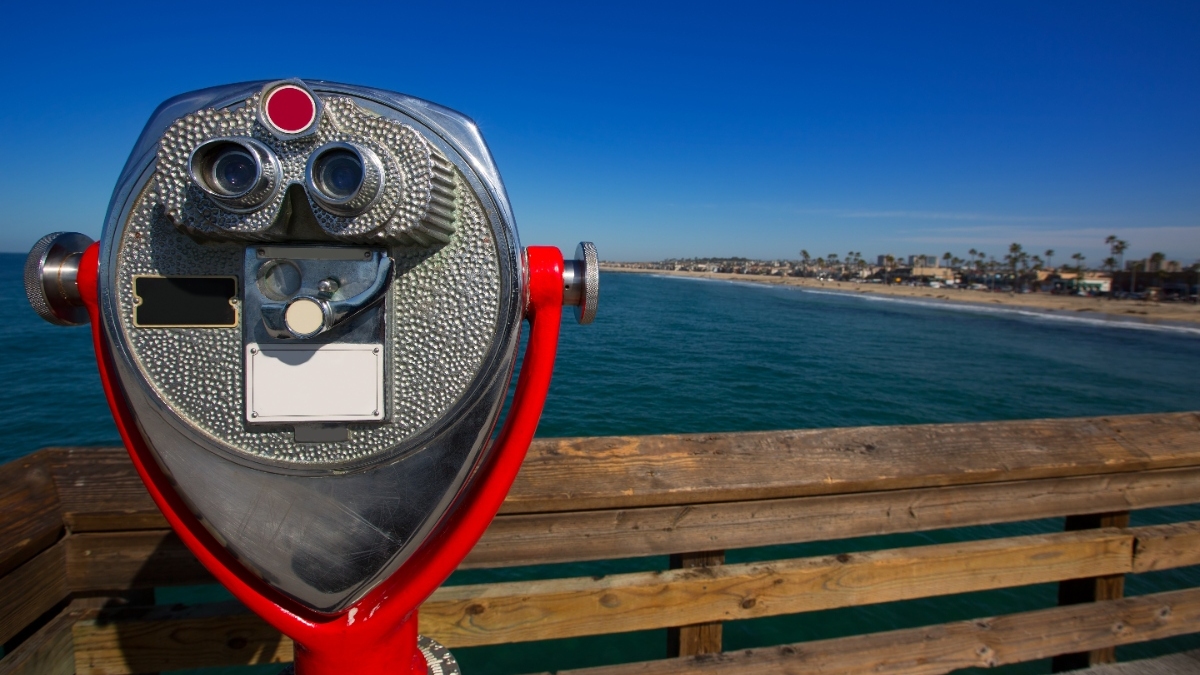 Looking to the future