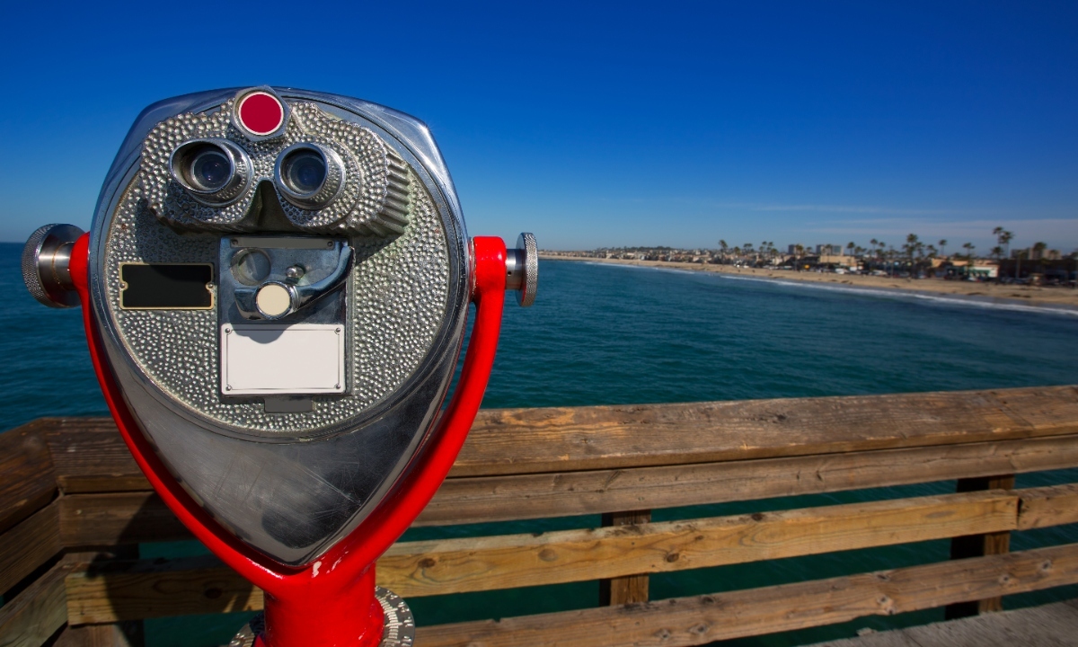 Looking to the future